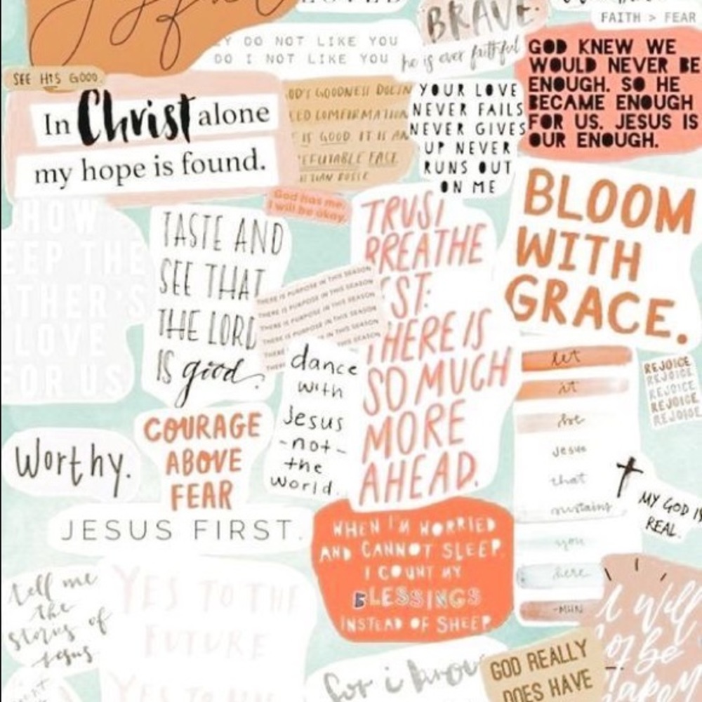 Meet your Posher, Sadie